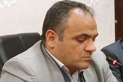 آغاز عملیات ایمن سازی دام ها علیه بیماری طاعون نشخوار کنندگان کوچک 